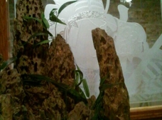 Gallery Image Number 3