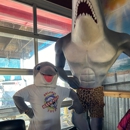 Baywatch Dolphin Tours - Tourist Information & Attractions