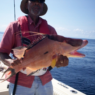 Brag and release fishing charters - Murrells Inlet, SC