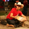 FAWC: Freestyle Alligator Wrestling Competition gallery