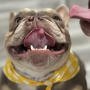 Spot Fur Love - Pet Services