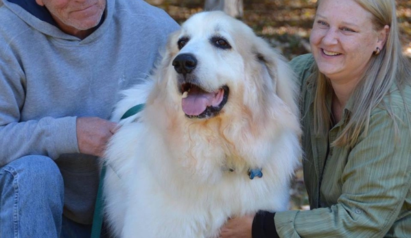 Bark Plaza Pet Hotel - Houston, MO