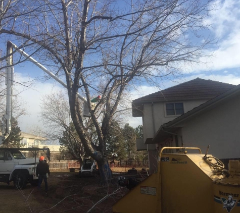 M & H Tree Service