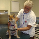 Animal Hospital Of The Rockaways - Veterinary Clinics & Hospitals