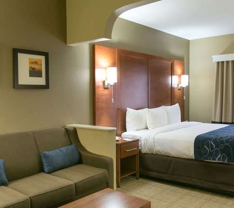 Comfort Suites Austin NW Lakeline - Austin, TX