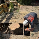 Rushing's Tree Care - Tree Service