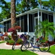 Royal Coachman - Nokomis, FL