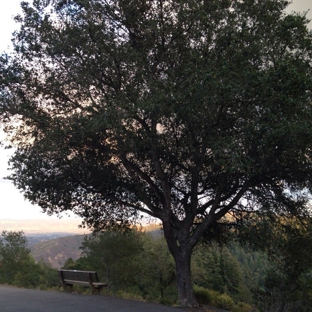 Mount Madonna County Park - Watsonville, CA