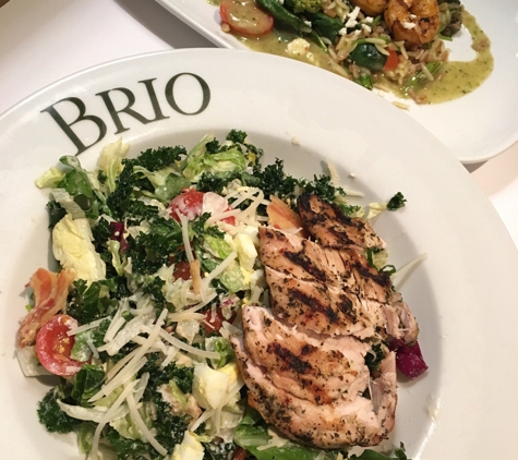 Brio Italian Grille - Sarasota, FL