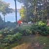 Bay & Mountain Tree Service. gallery