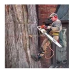 Handy Feller Tree Service