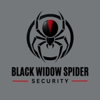 Black Widow Spider Security