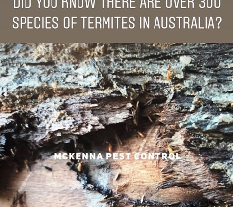 McKenna Pest Control (Qld) Pty Ltd