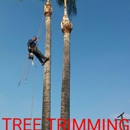 DANIEL'S TREE SERVICES - Landscaping & Lawn Services