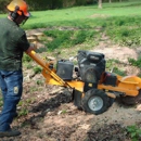 Anywhere Stump Grinding - Landscaping & Lawn Services