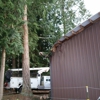A's Tree Service gallery