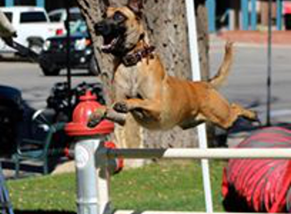 Albuquerque Sit Means Sit Dog Training - Albuquerque, NM