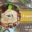 Mml Tree Service - Tree Service