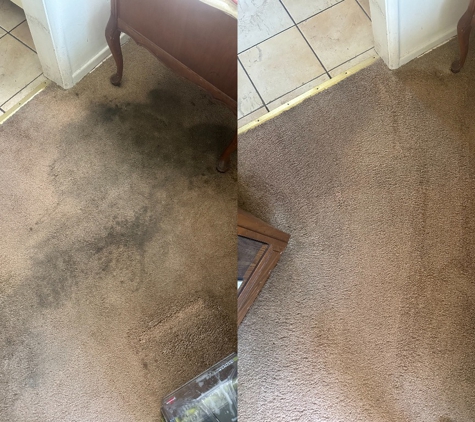 OlaClean - Fullerton, CA. Carpet cleaning from OlaClean!