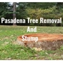 Pasadena Tree Removal and Stump