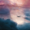 Expedia gallery