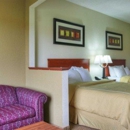 Comfort Suites Danville - Motels