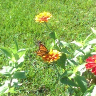 Munsinger Gardens - Saint Cloud, MN