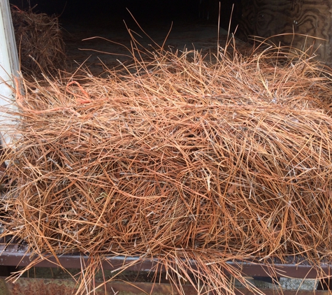 Page Road Garden Center - Morrisville, NC. NC Longleaf Pine Straw