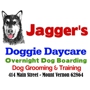 Jagger's Doggie Daycare