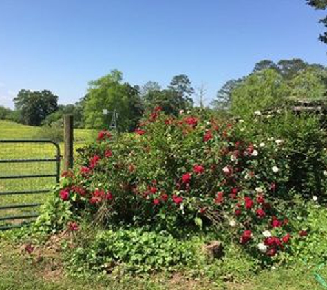 Seventy-Four Ranch B & B - Jasper, GA