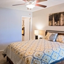 Acadian Point Apartments - Apartment Finder & Rental Service