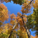 Funks Grove Nature Spaces - Parks
