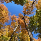 Funks Grove Nature Spaces