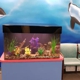 Aquarium Services Inc.