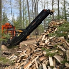BS Firewood Processing