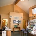 All Paws Veterinary Clinic