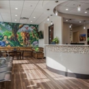 Celebration Pediatric Dentistry - Dentists