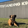 Outstanding K9 gallery