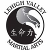 Lehigh Valley Martial Arts gallery