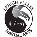 Lehigh Valley Martial Arts - Martial Arts Instruction