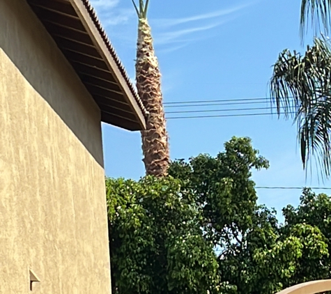 Ed's Tree Services - San Bernardino, CA