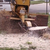 Ball's Stump Grinding gallery