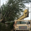 B & H Tree Service gallery