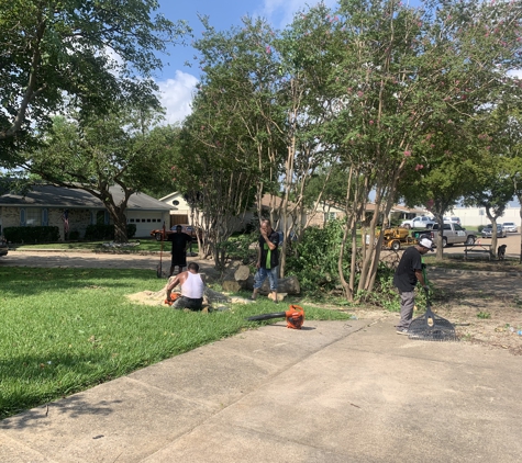 Texas Treehouse Tree Service & Stump Grinding - Mesquite, TX