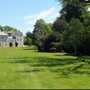 Bluesky lawncare - Landscaping & Lawn Services