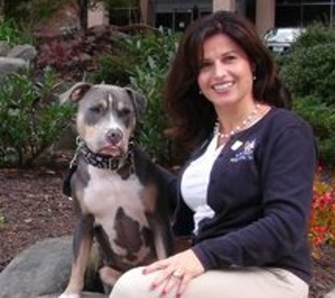 Bark Busters in Home Dog Training - Gambrills, MD