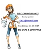 Ele cleaning services gallery