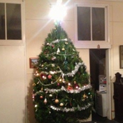 Gallery Image Number 6