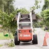 Treescapes Tree Removal Service gallery