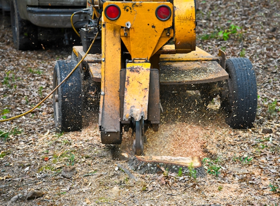 Fort Lauderdale Tree Service - Fort Lauderdale, FL. Stump grinding machine in action in Fort Lauderdale